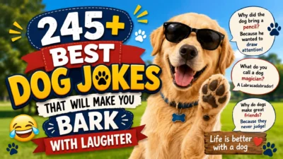 245+ best dog jokes with a funny golden retriever wearing sunglasses and ready to make you laugh